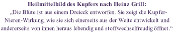 Heilmittelbild des Kupfers nach Heinz Grill:   „Die Blüte ist aus einem Dreieck entworfen. Sie zeigt die Kupfer-Nieren-Wirkung, wie sie sich einerseits aus der Weite entwickelt und andererseits von innen heraus lebendig und stoffwechselfreudig öffnet.“